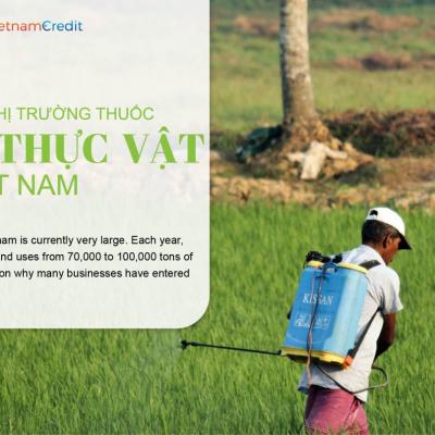 TỔNG QUAN THỊ TRƯỜNG THUỐC BẢO VỆ THỰC VẬT VIỆT NAM