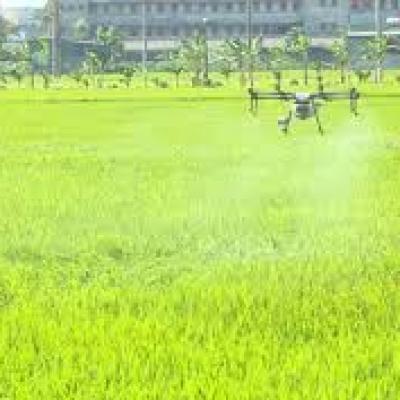 HÓA CHẤT DÙNG CHO NGÀNH NÔNG DƯỢC