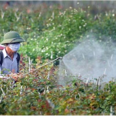 Thời của thuốc bảo vệ thực vật sinh học